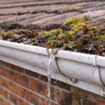 Gutter Cleaning Gutter Cleaning