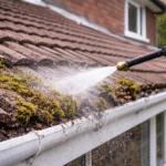 Roof Cleaning